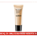 Riasan multicolor bb cream foundation cair OEM / ODM